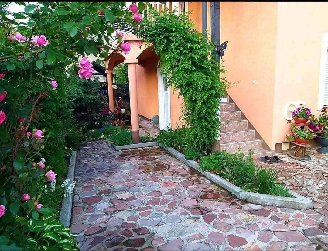 Apartmani Gs ***** Zavidovici Esterno foto